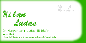 milan ludas business card